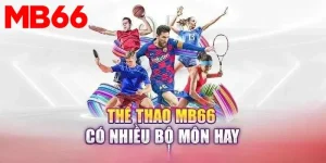 Thể Thao Mb66 – Khám Phá Thế Giới Thể Thao Đầy Thú Vị