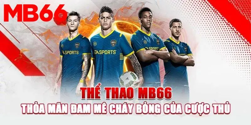 Bóng Rổ – Niềm Đam Mê Của Nhiều Bạn Trẻ